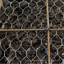 Hot-Dipped Galvanized After Weaving Hexagonal Chicken Wire Netting